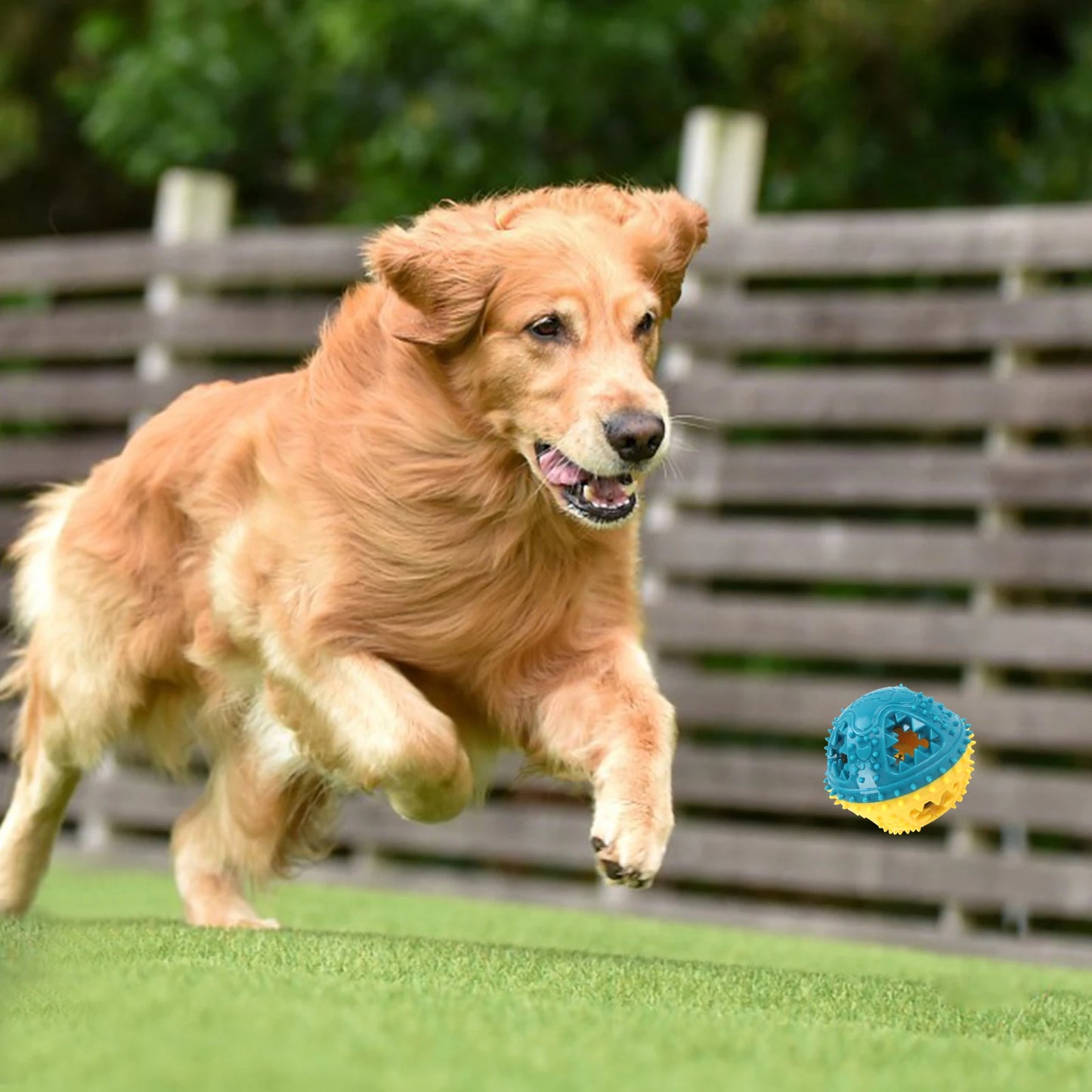 Albpaws™ – Robuster Kau- und Spielball