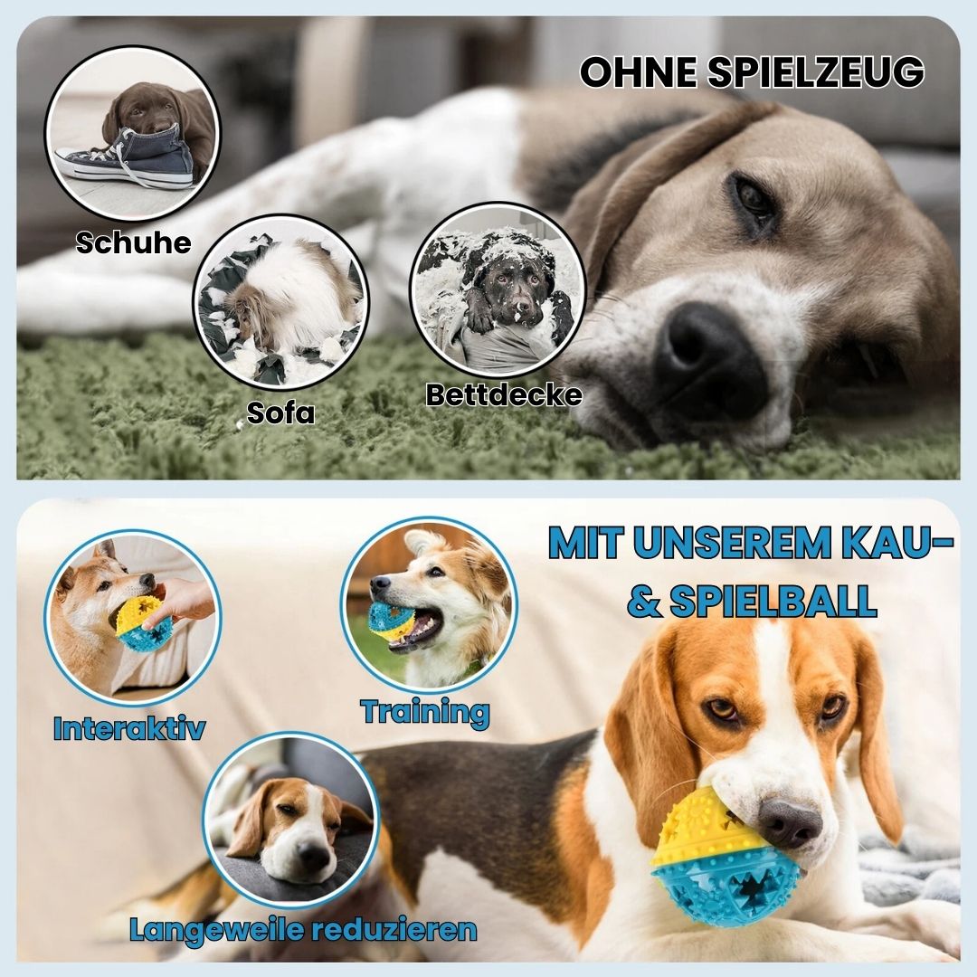 Albpaws™ – Robuster Kau- und Spielball