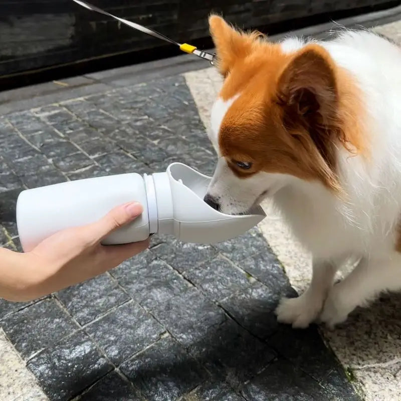 Albpaws™ - Silikon Hundeflasche